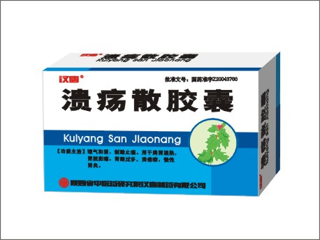 溃疡散胶囊