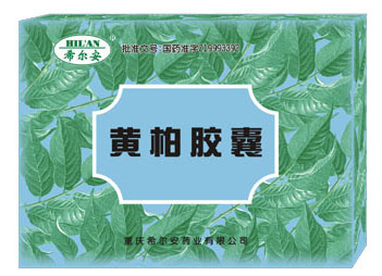 黄柏胶囊