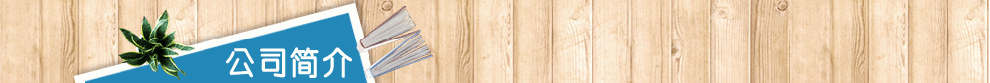 公司简介